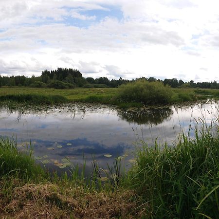 Stuga Vad Vatten Åsarp Exterior foto
